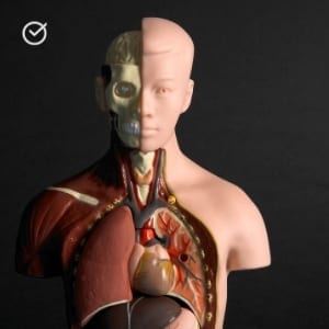 UExcel Anatomy & Physiology Test Prep