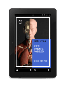 UExcel Anatomy & Physiology