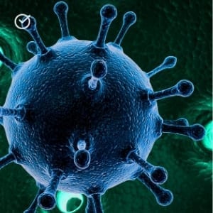 Biology CLEP Test Prep Biology CLEP Test Prep