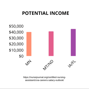 CNA Income