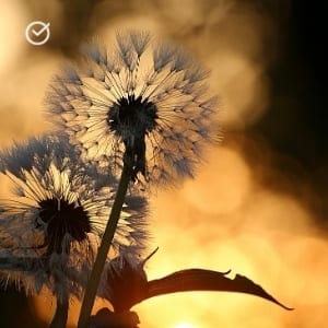 Natural Science