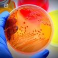 Microbiology