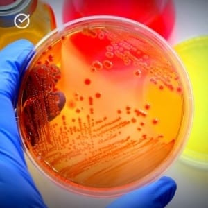 Microbiology UExcel Test Prep