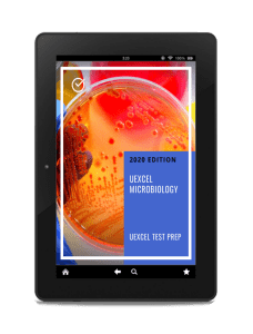 Microbiology UExcel Exam Prep